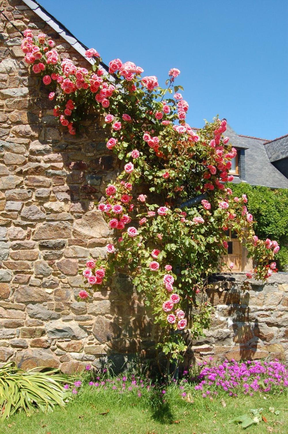 Villa Les Longeres Du Trieux à Lézardrieux Extérieur photo